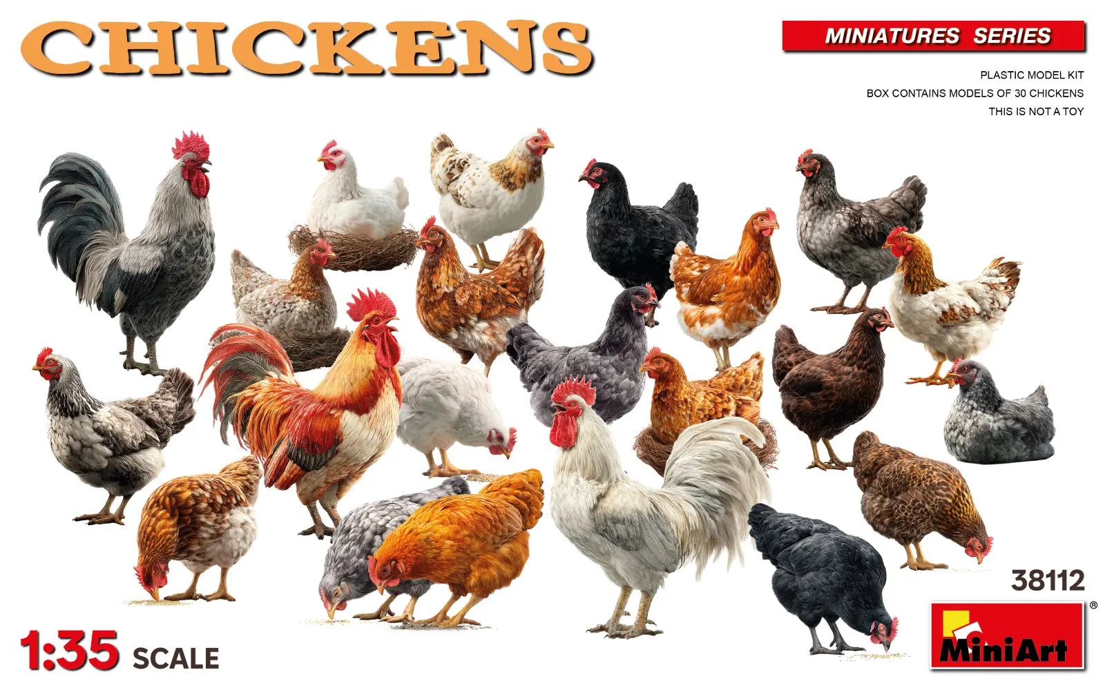 Chickens 1:35
