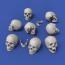 Skulls 1:35 (8 st)